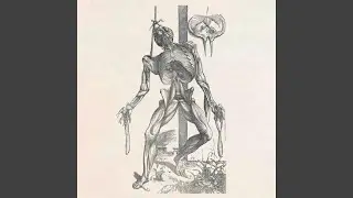 III
