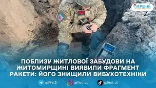 На Житомирщині вибухотехніки знешкодили бойову частину ракети Х-101