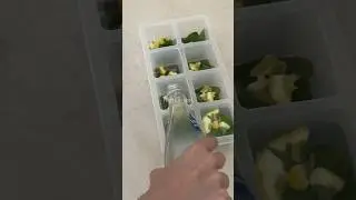 Lemon 🍋 and mint ice cubes!