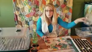 Starting Seedlings 3 Methods: How to Help Pollinators for Pennies!