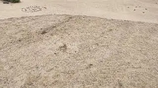 homemade salutes 20g- 45g-70g flash powder