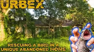 Hidden Discovery At A Unique Abandoned Home