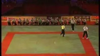 Krav Maga Demo at Bercy 2009