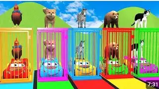 Funny 3D animal long slide game.Watch crazy animals racing and falling in this fun gameplay.