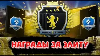 FIFA 21 Награды Squad Battles Elite 1 пакоппенинг и титульные матчи паки