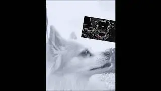 Weedspeed 