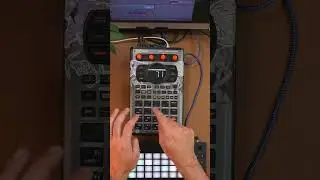 Move и SP404 &mdash; ИДЕАЛЬНАЯ пара #sp404mk2 #abletonmove