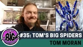 Tom's Big Spiders | Tom Moran - The Animals at Home Podcast