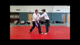 Traditional&acute;n Fighting Art Hwarang Kwan Do