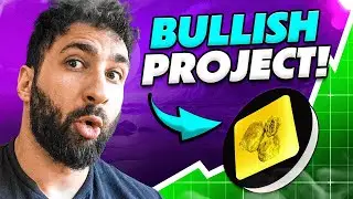 PATTIEPAD - Dive Into The Future of Crypto?