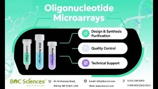 What is an Oligonucleotide Microarray? - A Tool for Genetic Analysis &ndash; BOC Sciences
