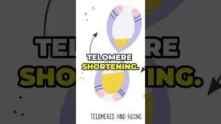 The Science of Aging Explained!#AgingScience #CellularBiology #Telomeres #Longevity #HealthyAging