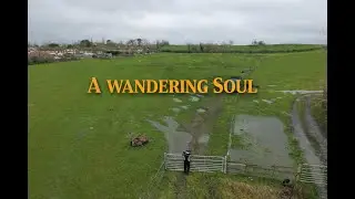 A Wandering Soul | Motorcycle and Mozart 
