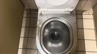 Toilets at Parliament station