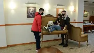 Hotel Palace**** Hévíz
