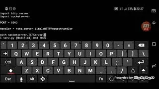 Hosting a python server on my phone