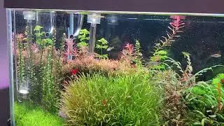 Aktualizacja  baniaka  240L😁
