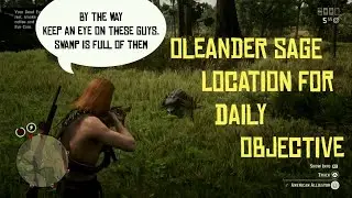 Oleander Sage Locations for Daily Challenge RDR2 Online
