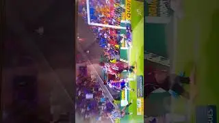 bora leao