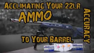 Адаптация/привыкание вашего 22LR к вашим боеприпасам