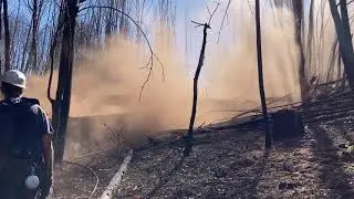 Flipping log