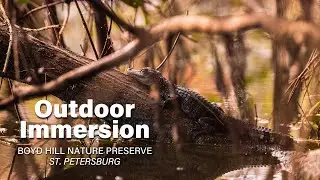 Nature Is Calling at Boyd Hill Nature Preserve!