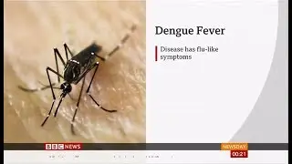 Dengue Fever epidemic declared (Philippines) - BBC News - 8th August 2019