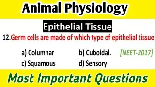 Animal Tissue MCQs ; Epithelial tissue: Most Important Questions