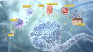 The Biochemistry of Pain