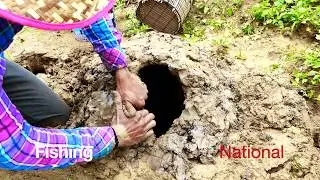 National Fishing - Catfish Fishing by Hand From Muddy Water | Underground  Fishing By a Fisher man