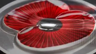 The 2017 Silver Proof 5oz Masterpiece Poppy Coin