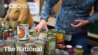 1 in 3 households in Kingston, Ont., living with food insecurity
