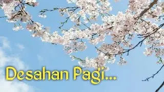 SUARA DESAHAN DI PAGI HARI || AMAZING NATURE SOUND IN THE MORNING.