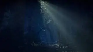 I Made a Forest On Zeta Halo