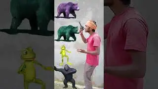 From the head gorilla, frog, dameto coista, monkey VFX magic video #shorts#comedy #bear 🐻