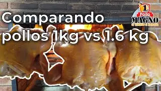 Compara pollo 1kg y 1.6kg para rosticeria