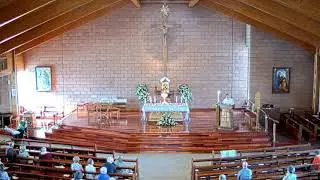 Fr Michael Kane 13th May 2018
