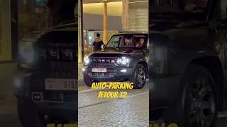 Система автоматической парковки Jetour T2. Очень точная #jetour #автомобиль #машины #jetourt2