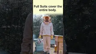 Beekeeping Safety First: Finding the Perfect Protective Suit