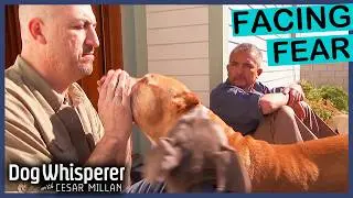 Family Man's Life-Long Fear After Dog Attack | S4 Ep 25 | Dog Whisperer With Cesar Millan