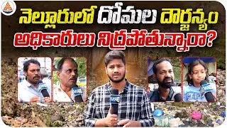 Nellore Under Mosquito Attack! | Public Angry on Municipal Negligence | SASTv