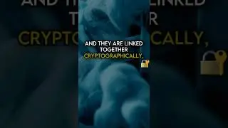 Difference Holochain vs. Blockchain #krypto #blockchain #holochain #holo #bitcoin #crypto