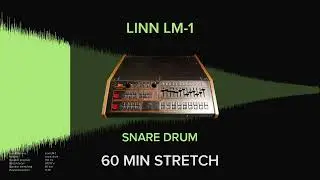 Linn LM-1 Snare Drum (1 HOUR)