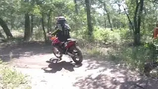 Waco Eagle Cross Country crash into tree - rider OK