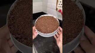 EXPERIMENTANDO TORTA MOSS DAISY BRIGATTONE | BRENDA🦋