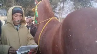 سوق الثلاثاء الخميسات مع دريس موزون ✋ بتاريخ اليوم 30/12/2025 فرجة ❤️