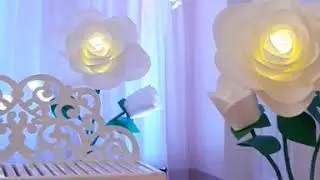 Свадьба Спитамен TJ
