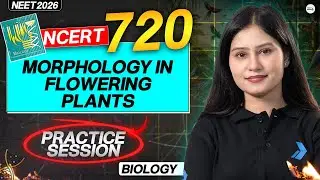 NEET 2026 🔥 | Morphology in Flowering Plants | Practice Session | NEET Biology | NCERT 720 | Tamsa
