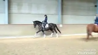 Lilly (Dauphin - Neuquen xx - Eiger)