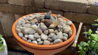 DIY Solar Bird Bath Fountain Build & Review | Poposoap Solar Pump Unboxed!